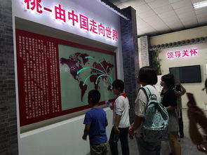 桃香引巧思，非遺潤童心——奉賢錢橋?qū)W校暑期親子體驗(yàn)活動側(cè)記